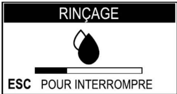 SAECO Aulika Evo Office - Chauffage et rinçage - 4
