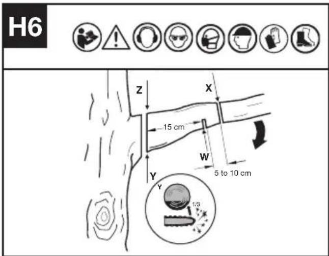 KRESS KAC361 - TRIMMING A TREE (PRUNING) - 1