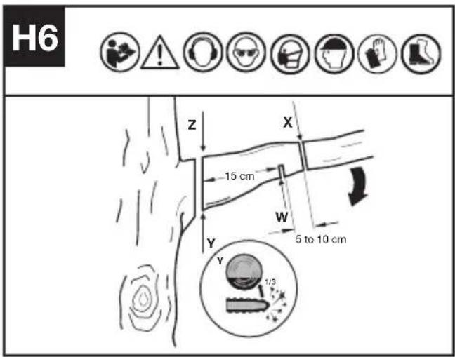 KRESS KAC361 - ÉBRANCHAGE D'UN ARBRE (ÉLAGAGE) - 1