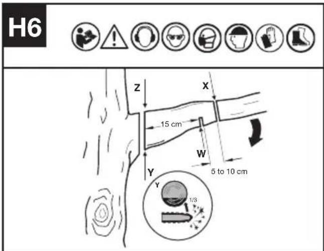 KRESS KAC361 - TRIMMEN EINES BAUMS (ENTASTEN) - 1
