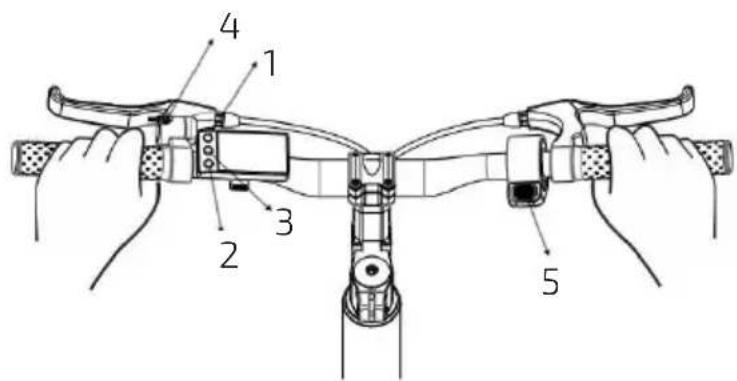 CECOTEC Trotón - DECLARACIÓN DE CONFORMIDAD - 3