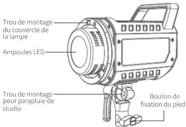 Neewer FS230B - Illustration du produit - 1