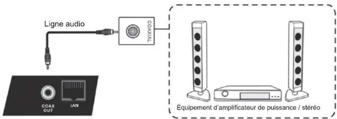 VIEWSONIC CDE8452T - Connexions d'un microphone - 1