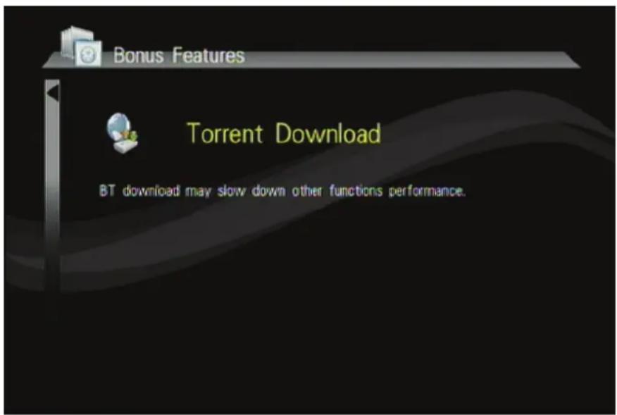 VIEWSONIC VMP73 - Chargement Torrent - 1