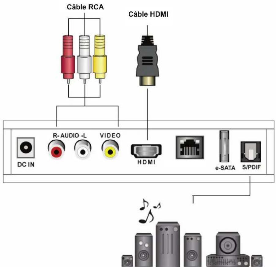 VIEWSONIC VMP73 - Branchement des cables. - 1