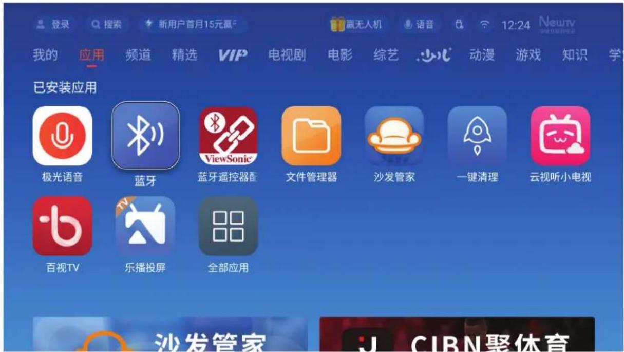 VIEWSONIC Q30 - 蓝牙 - 1