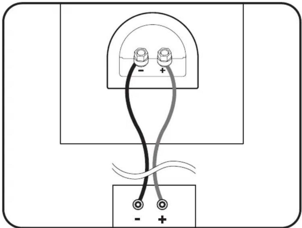 Paradigm Monitor SE 8000F - SPEAKER CONNECTION - 1