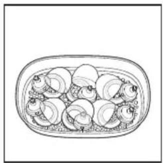 PHILIPS Avent SCF293 - Assembling the sterilizer - 4