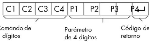 HP Pavilion LC3700N - Formato de comando - 1