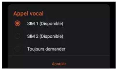 ASUS ROG Phone ZS661KS - Affecter une carte SIM aux appels vocaux - 1