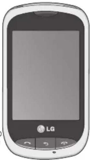 LG Wink Style - Smaltimento delle apparecchiature obsolete - 1