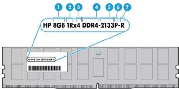 HP ProLiant ML110 G9 - Identification des modules DIMM - 1