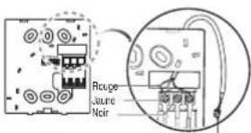Roupe Saure Noir