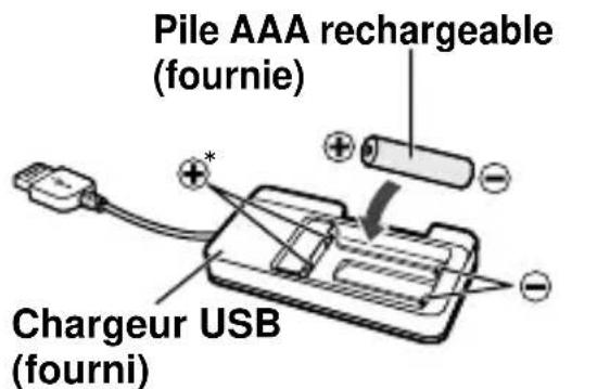 PANASONIC RP-BTGS10 - Placez la pile rechargeable dans le chargeur USB - 1