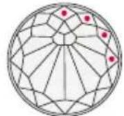 MISFIT Swarovski Activity Crystal SC - PROGRESSION - 1