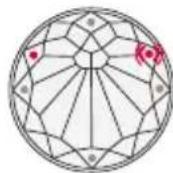 MISFIT Swarovski Activity Crystal SC - PROGRESSION - 5