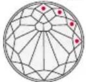 MISFIT Swarovski Activity Crystal SC - TOCAR DOS VECES/HORA - 1