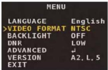 FLIR MPX C237ED - Video Format - 1