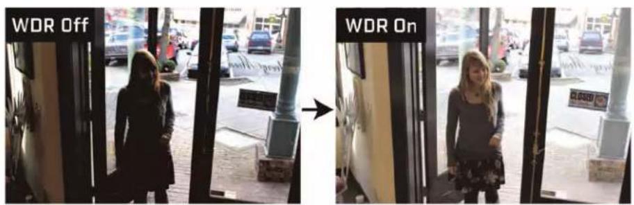 FLIR MPX C237BC - Portée dynamique large (WDR) - 1