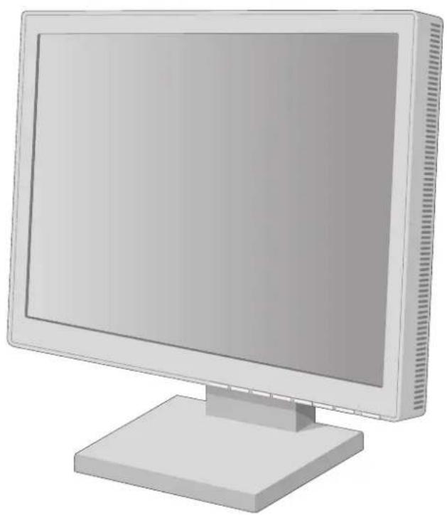 NEC MultiSync LCD1960NXi - 1