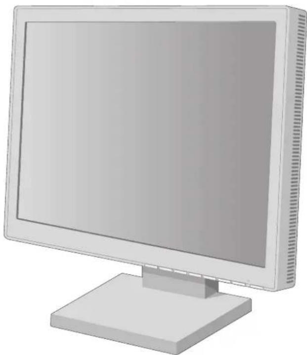 NEC AccuSync 200VX - 1