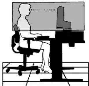 NEC AccuSync 200VX - Recommended Use -continued - 3