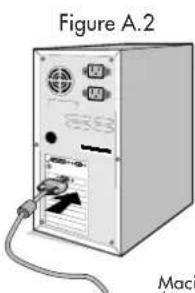 NEC AccuSync 200VX - Quick Start - 2