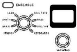 KORG Grandstage - ENSEMBLE（アンサンブル）の カテゴリー - 1