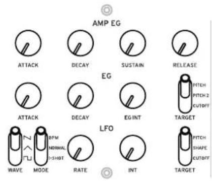 KORG Minilogue xd module - AMPEG - 2