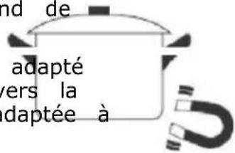 CANDY CTPS64SCTTWIFI - Sélection du bon ustensile de cuisson - 2