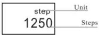 BLAUPUNKT BLP5210 - Steps Interface - 1