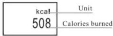 BLAUPUNKT BLP5210 - Calories interface - 1