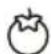 HAIER HCW7819EWMP - Function Fruits &amp; Veg - 1