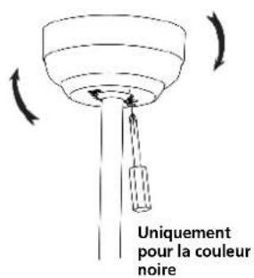 Uniquement pour la couleur noire