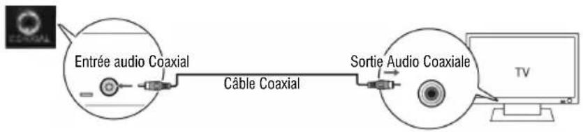 Trevi AVX 590 BT - ENTRÉE AUDIO COAXIALE - 1