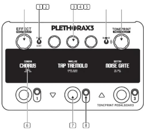 TC ELECTRONIC Plethora X3 - PLETHORA X3 Controls - 1