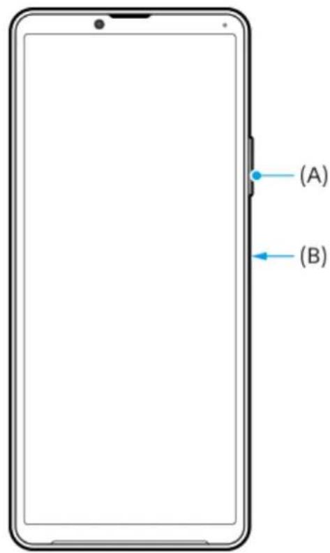 (A) (B)