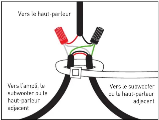 Paradigm Garden Oasis Sub 8 - Avant de commencer le câblage, veuillez-vous référer aux options de configuration du câblage aux pages 6 à 7. - 1