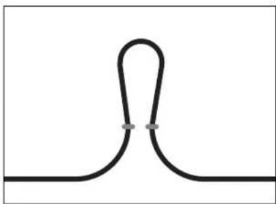 Paradigm Garden Oasis Sub 8 - Preparing the 4 Conductor Burial Cable (For Stereo Setup) - 1