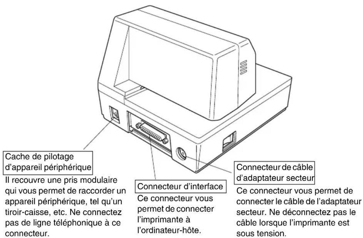 Cache de pilotage d'appareil périphérique Il recouvre une pris modulaire qui vous permet de raccorder un appareil périphérique, tel qu'un tiroir-caisse, etc. Ne connectez pas de ligne téléphonique à ce connecteur. Connecteur d'interface Ce connecteur vous permet de connecter l'imprimante à l'ordinateur-hôte. Connecteur de câble d'adaptateur secteur Ce connecteur vous permet de connecter le câble de l'adaptateur secteur. Ne déconnectez pas le câble lorsque l'imprimante est sous tension.