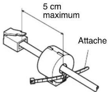 5 cm maximum Attache