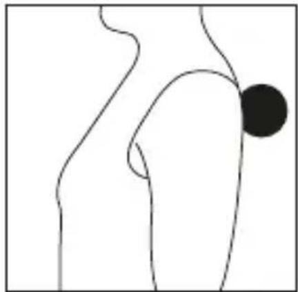 BEURER MG 10 - Torse - 2