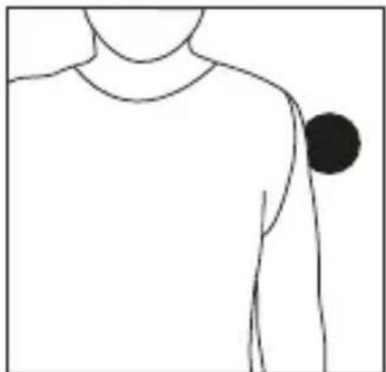 BEURER MG 10 - Torse - 1