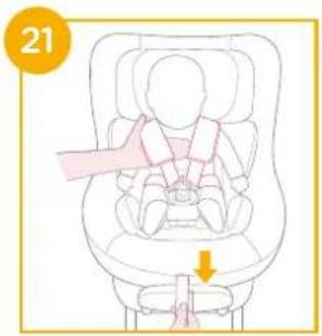 Joie i-Prodigi - enhanced child restraint - 22