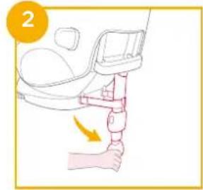 Joie i-Prodigi - enhanced child restraint - 5