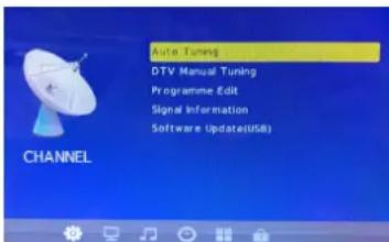 Auto Tuning DTV Manual Tuning Programme Edit Signal Information Software Update(USB) CHANNEL
