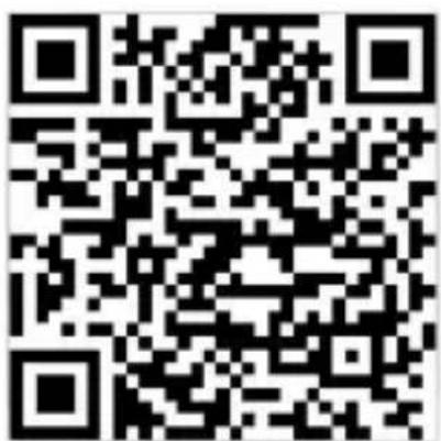 DENVER SLP-515 - User Manual - 2
