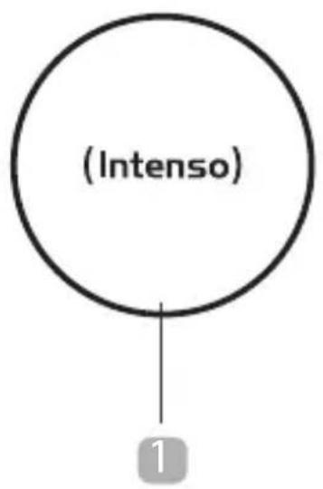 INTENSO BA1 - Contenido deluministro - 1