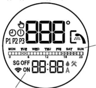 Tesy ModEco Electronic 80 - PexnM"CeDmUeH nporpaMaTOp - 1