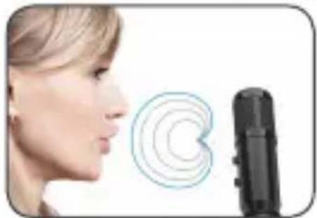 Lorgar LRG-CMT313 - Mute: - 1